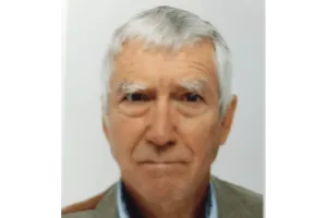 LINDA NAILI original art work ; abstract art and impressionist art