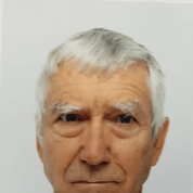 LINDA NAILI original art work ; abstract art and impressionist art